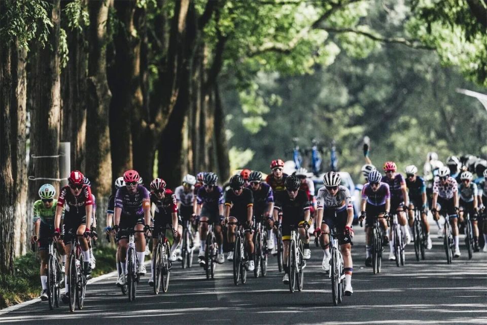 运动发展的 运动发展的